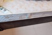 Sealy Single Mattress 830 x 1800 x 20mm