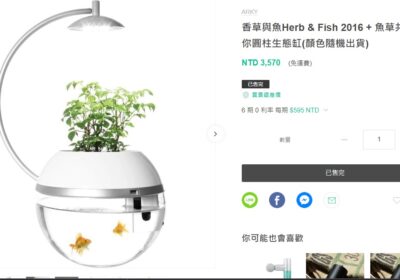 46-Herb-Fish-魚草共生迷你圓柱生態缸