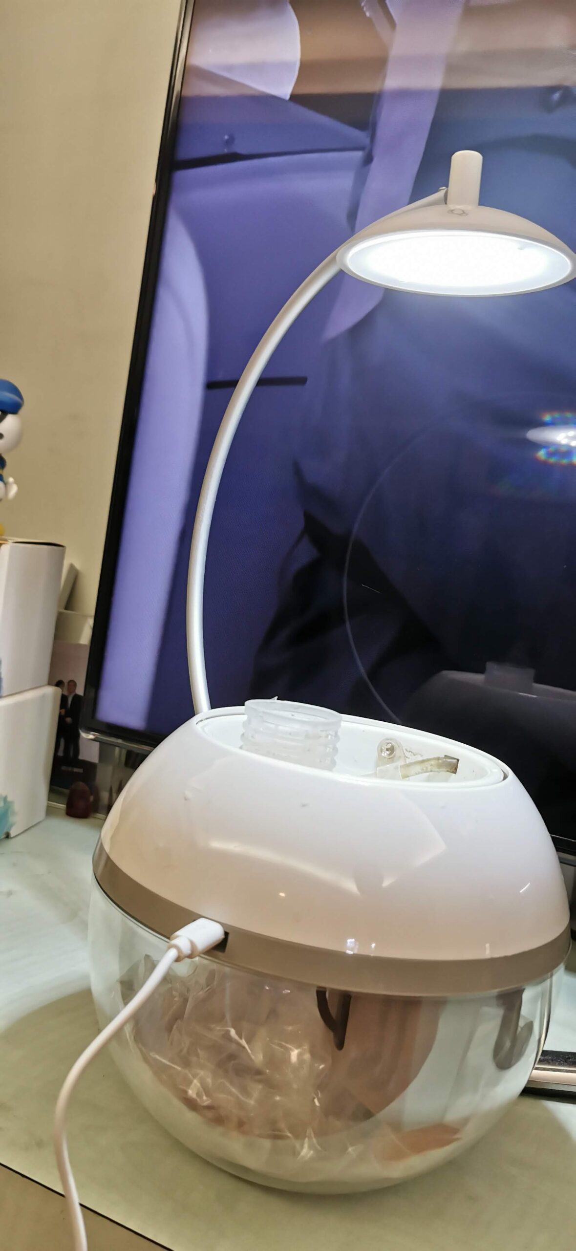 Herb & Fish 魚草共生迷你圓柱生態缸