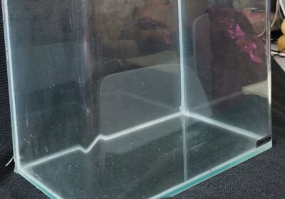 51-fish-glass-tank-圓角玻璃魚缸-50df