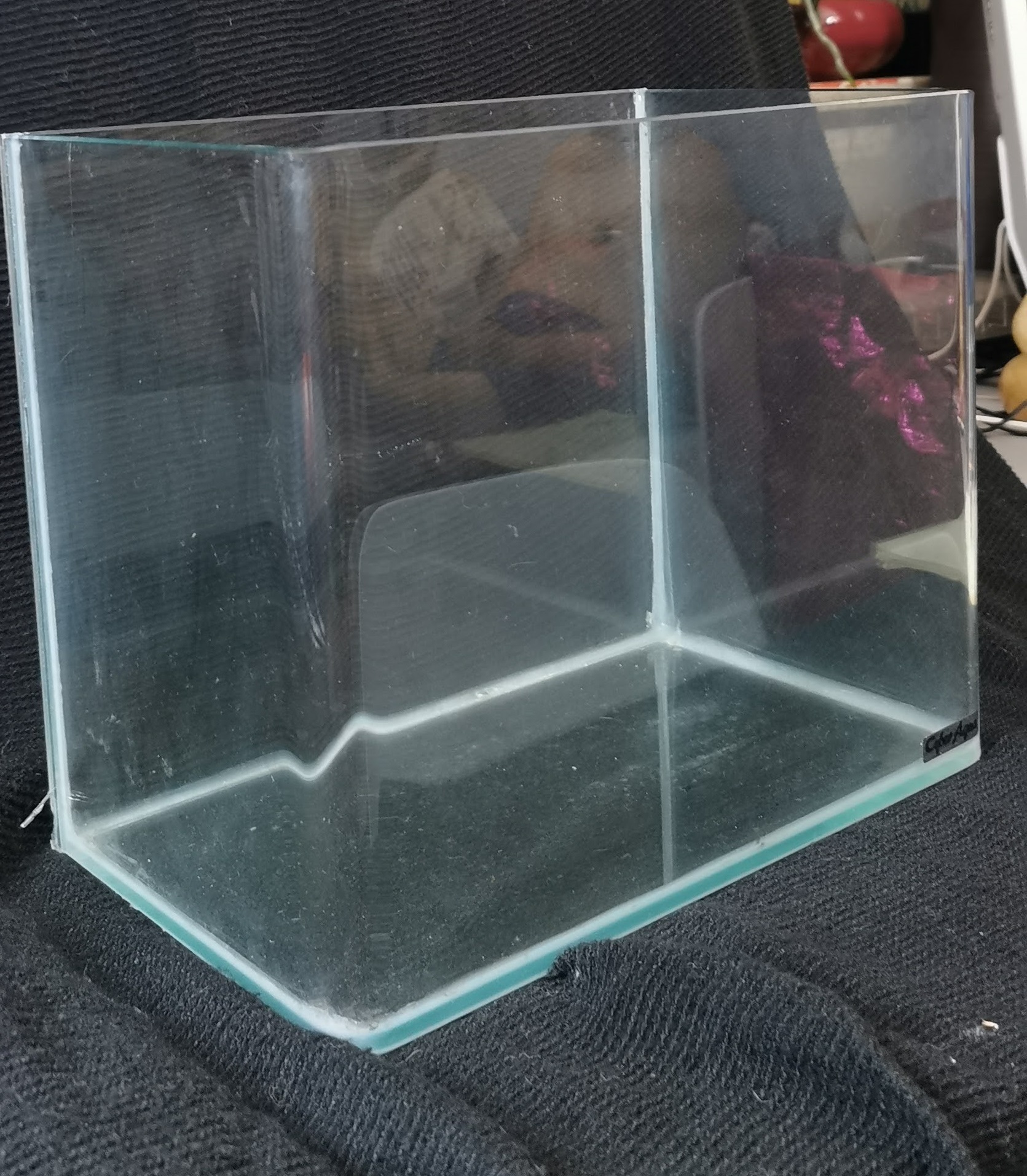Fish glass tank 圓角玻璃魚缸