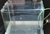 Fish glass tank 圓角玻璃魚缸 入門套裝