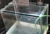 Fish glass tank 圓角玻璃魚缸 入門套裝