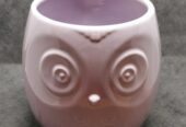 Owl Pottery 貓頭鷹瓶