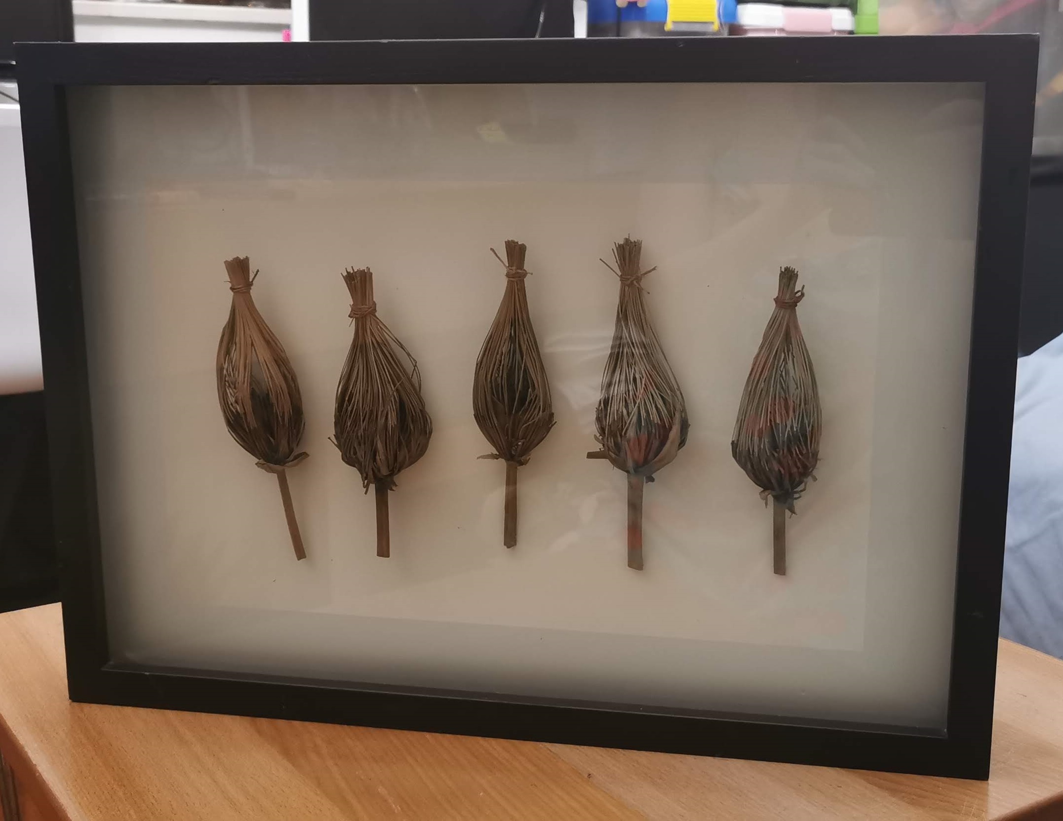 Wood frame dry plant wall art