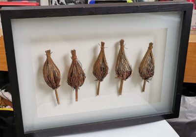 7-300-450-380-60-dsf