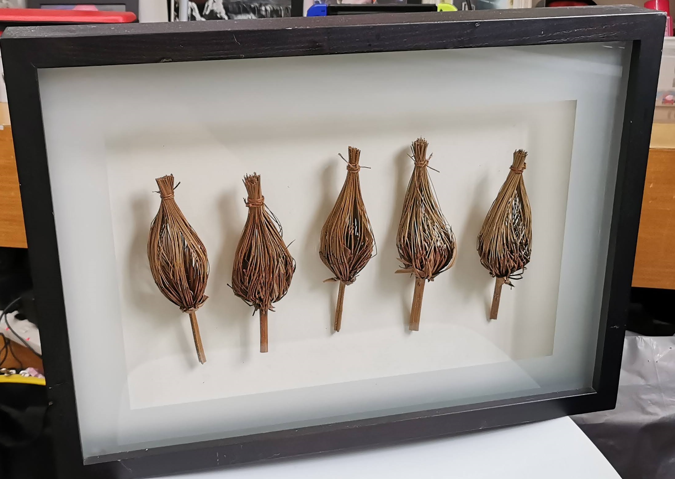 Wood frame dry plant wall art