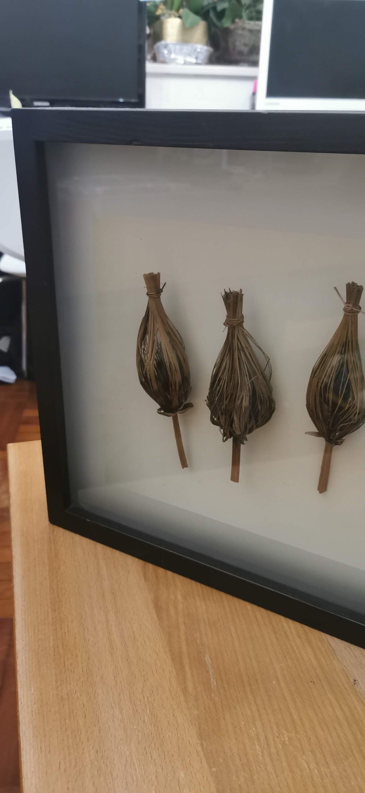 Wood frame dry plant wall art