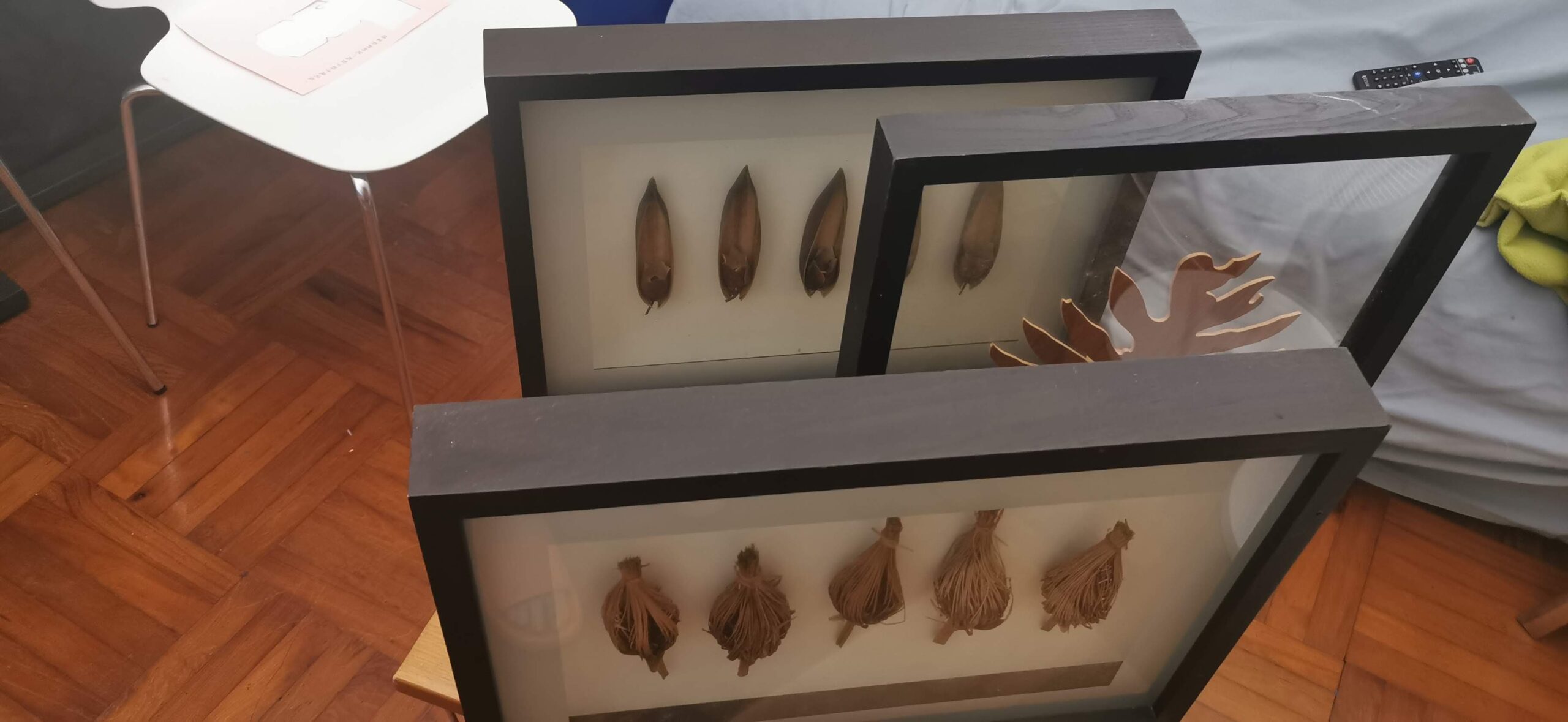 Black frame Dry Leaf Wall Art