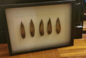 Black frame Dry Leaf Wall Art