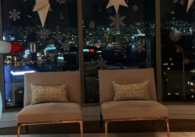 suade-finish-kelly-hoppen-arm-chair-X-2-12900-76x76x80cm3