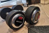 Kettler Dumbells